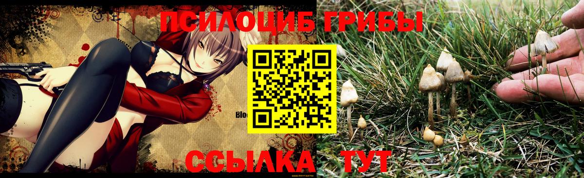 Галлюциногенные грибы GOLDEN TEACHER Чайковский
