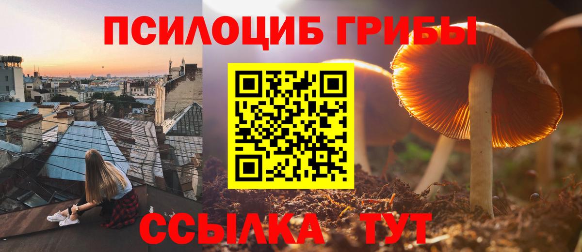 Псилоцибиновые грибы MAGIC MUSHROOMS  Вход с VPN  Чайковский 